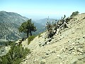 2014 Mt Baldy Cali 122